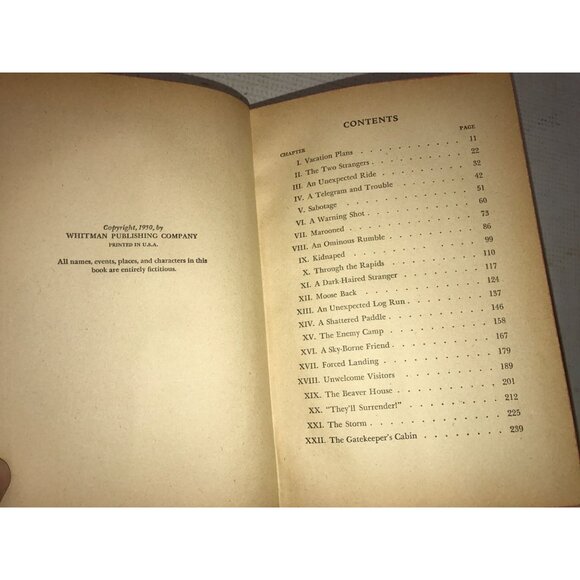 The Walton Boys and Rapids Ahead Hardback Vintage Book - Picture 7 of 11